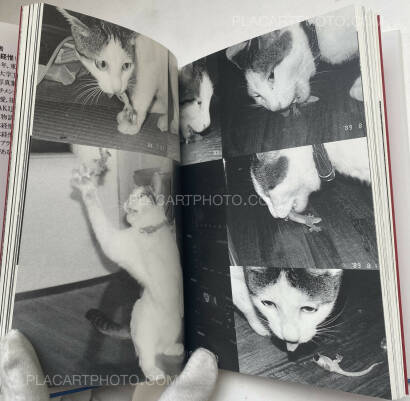 Nobuyoshi Araki,Itoshi no Chiro (Chiro, My Love) Nobuyoshi Araki,Itoshi no Chiro (Chiro, My Love)