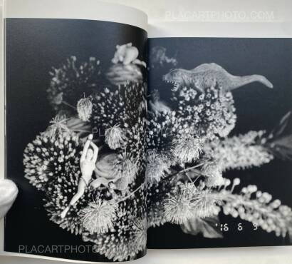 Nobuyoshi Araki,ichi-ni-san-shigo SIXTY-NINE (SIGNED) Nobuyoshi Araki,ichi-ni-san-shigo SIXTY-NINE (SIGNED)