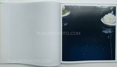 António Júlio Duarte,WHITE NOISE (SIGNED) António Júlio Duarte,WHITE NOISE (SIGNED)