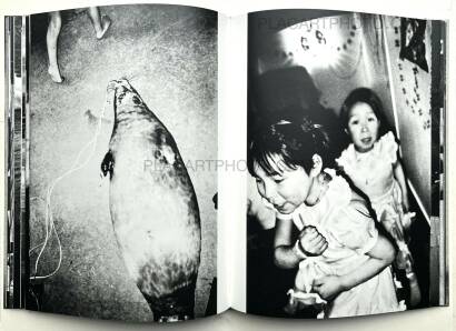 Jacob aue Sobol,James' House Jacob aue Sobol,James' House