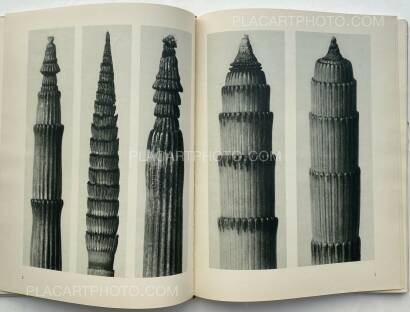 Karl Blossfeldt,Urformen der Kunst Karl Blossfeldt,Urformen der Kunst