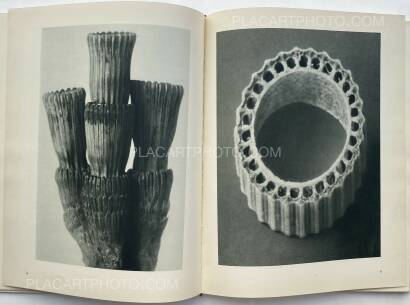 Karl Blossfeldt,Urformen der Kunst Karl Blossfeldt,Urformen der Kunst