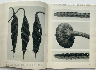 Karl Blossfeldt,Urformen der Kunst Karl Blossfeldt,Urformen der Kunst