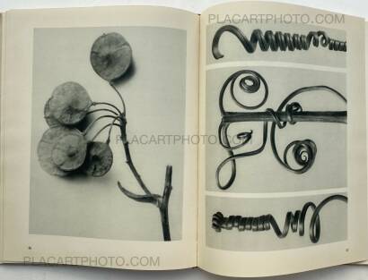 Karl Blossfeldt,Urformen der Kunst Karl Blossfeldt,Urformen der Kunst