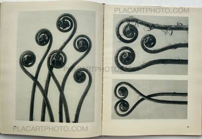 Karl Blossfeldt,Urformen der Kunst Karl Blossfeldt,Urformen der Kunst