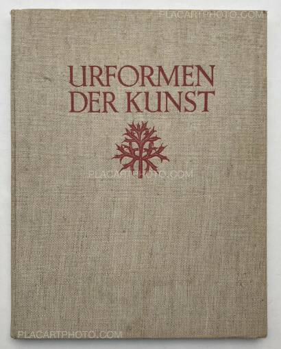 Karl Blossfeldt,Urformen der Kunst Karl Blossfeldt,Urformen der Kunst