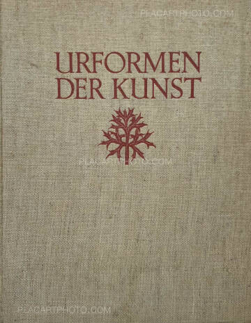 Karl Blossfeldt,Urformen der Kunst Karl Blossfeldt,Urformen der Kunst
