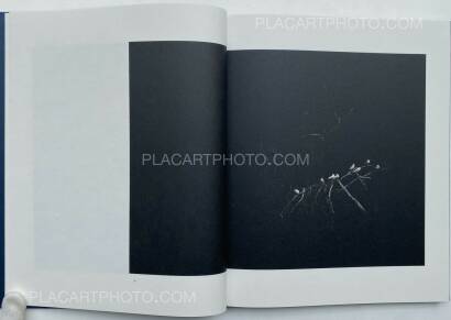 Dominic Turner,FALSE FRIENDS (SIGNED) Dominic Turner,FALSE FRIENDS (SIGNED)