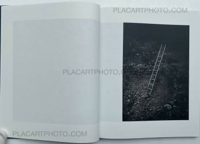 Dominic Turner,FALSE FRIENDS (SIGNED) Dominic Turner,FALSE FRIENDS (SIGNED)