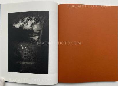 Dominic Turner,FALSE FRIENDS (SIGNED) Dominic Turner,FALSE FRIENDS (SIGNED)