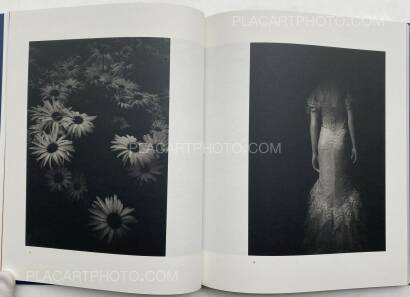 Dominic Turner,FALSE FRIENDS (SIGNED) Dominic Turner,FALSE FRIENDS (SIGNED)