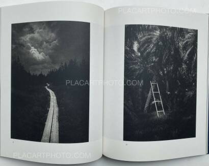 Dominic Turner,FALSE FRIENDS (SIGNED) Dominic Turner,FALSE FRIENDS (SIGNED)