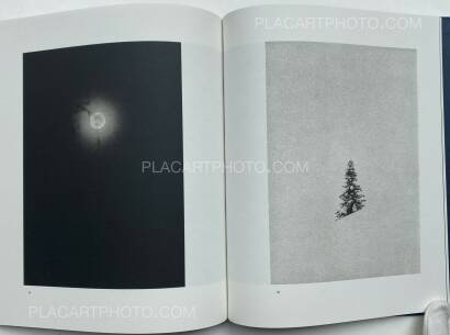 Dominic Turner,FALSE FRIENDS (SIGNED) Dominic Turner,FALSE FRIENDS (SIGNED)