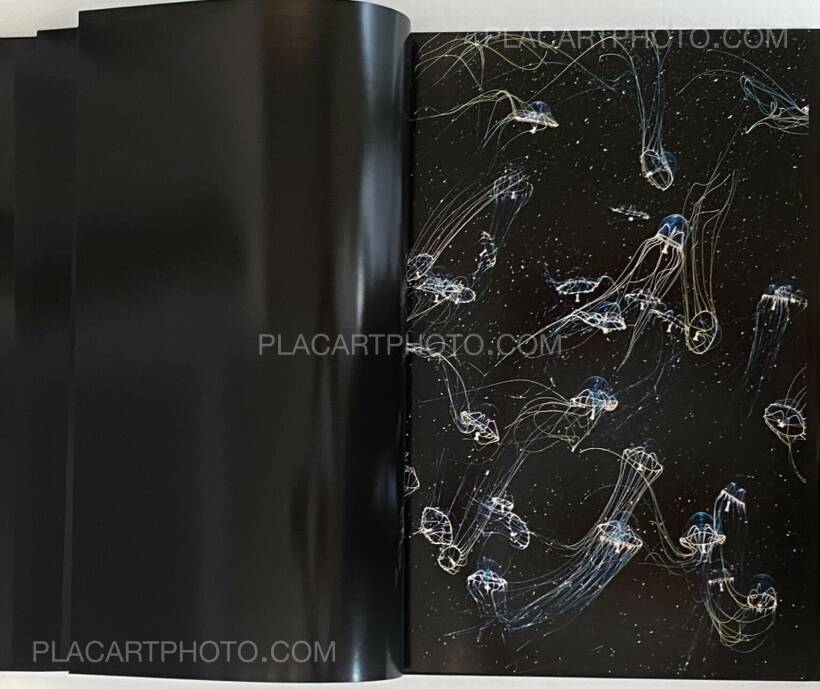 Guido Mocafico: MEDUSA, Steidl , 2006 | Bookshop Le Plac'Art