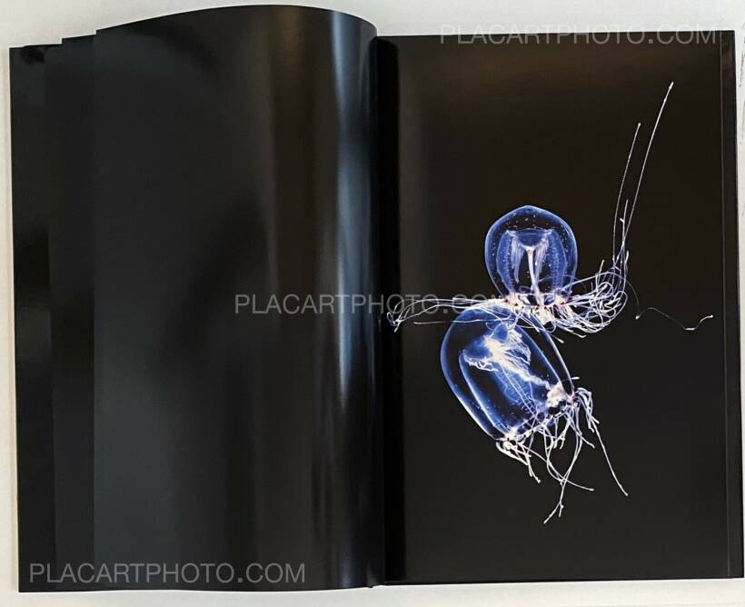 Guido Mocafico: MEDUSA, Steidl , 2006 | Bookshop Le Plac'Art