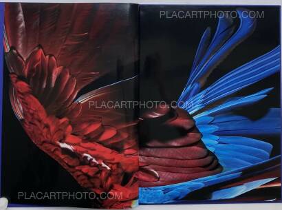 Sølve Sundsbø,Perroquet Sølve Sundsbø,Perroquet