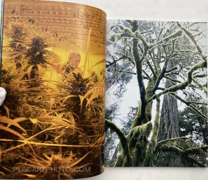 Juergen Teller,System Supplement Juergen Teller Juergen Teller,System Supplement Juergen Teller