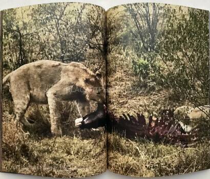 Juergen Teller,System Supplement Juergen Teller Juergen Teller,System Supplement Juergen Teller