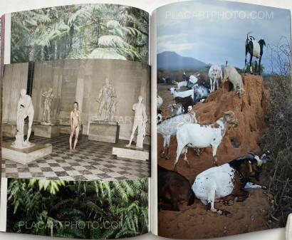 Juergen Teller,System Supplement Juergen Teller Juergen Teller,System Supplement Juergen Teller