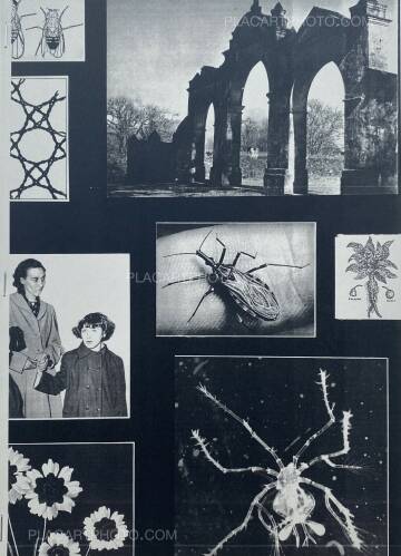 Thibault Tourmente,ID Noir #2 (SIGNED) Thibault Tourmente,ID Noir #2 (SIGNED)