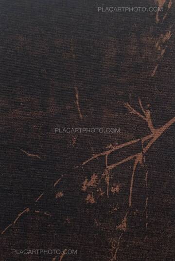 Joanna Epstein,Wasps (edt of 15) Joanna Epstein,Wasps (edt of 15)