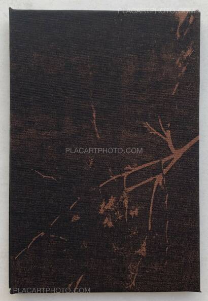 Joanna Epstein,Wasps (edt of 15) Joanna Epstein,Wasps (edt of 15)