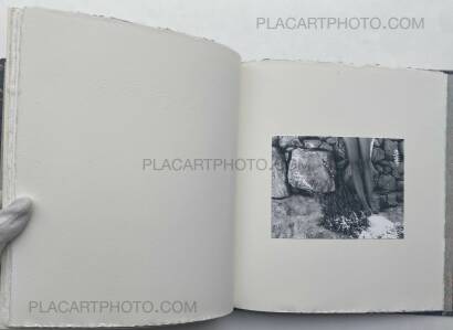 Veronica Mecchia,Wild Flowers (UNIQUE and signed) Veronica Mecchia,Wild Flowers (UNIQUE and signed)