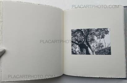 Veronica Mecchia,Wild Flowers (UNIQUE and signed) Veronica Mecchia,Wild Flowers (UNIQUE and signed)