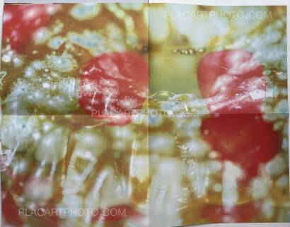 Zuza Kepa,CUMQUAT (SIGNED ONLY 20 COPIES) Zuza Kepa,CUMQUAT (SIGNED ONLY 20 COPIES)