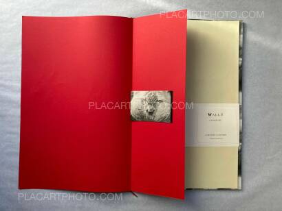 Lorenzo Castore,WALLS (SPECIAL EDITION OF 12 LAST ONE) Lorenzo Castore,WALLS (SPECIAL EDITION OF 12 LAST ONE)