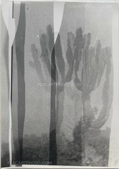 Laura Rodari,MALIA (SIGNED AND NUMBERED, edt of 3) Laura Rodari,MALIA (SIGNED AND NUMBERED, edt of 3)