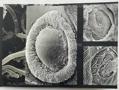 Tomasz Laczny,END TIME (Dummy, edt of 3) Tomasz Laczny,END TIME (Dummy, edt of 3)