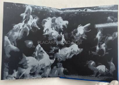 Joanna Epstein,Dissolve (SIGNED) Joanna Epstein,Dissolve (SIGNED)