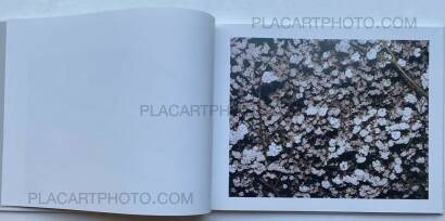 Elias Hassos,Fotografien Elias Hassos,Fotografien