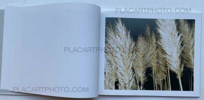 Elias Hassos,Fotografien Elias Hassos,Fotografien