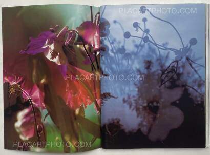 Peter Fischli & David Weiss,Peter Fischli David Weiss Peter Fischli & David Weiss,Peter Fischli David Weiss