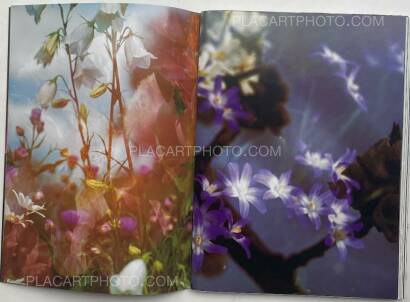 Peter Fischli & David Weiss,Peter Fischli David Weiss Peter Fischli & David Weiss,Peter Fischli David Weiss