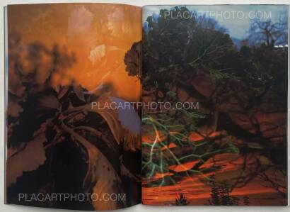 Peter Fischli & David Weiss,Peter Fischli David Weiss Peter Fischli & David Weiss,Peter Fischli David Weiss