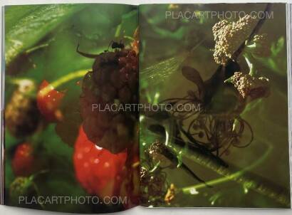 Peter Fischli & David Weiss,Peter Fischli David Weiss Peter Fischli & David Weiss,Peter Fischli David Weiss