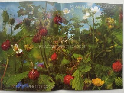 Peter Fischli & David Weiss,Peter Fischli David Weiss Peter Fischli & David Weiss,Peter Fischli David Weiss