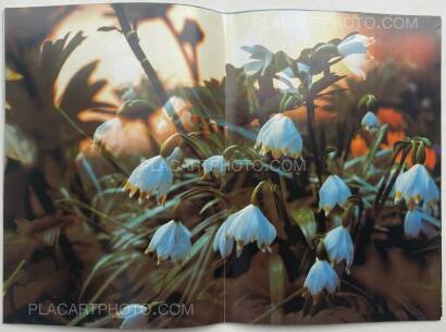 Peter Fischli & David Weiss,Peter Fischli David Weiss Peter Fischli & David Weiss,Peter Fischli David Weiss