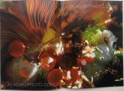 Peter Fischli & David Weiss,Peter Fischli David Weiss Peter Fischli & David Weiss,Peter Fischli David Weiss