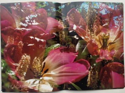 Peter Fischli & David Weiss,Peter Fischli David Weiss Peter Fischli & David Weiss,Peter Fischli David Weiss