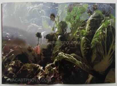 Peter Fischli & David Weiss,Peter Fischli David Weiss Peter Fischli & David Weiss,Peter Fischli David Weiss