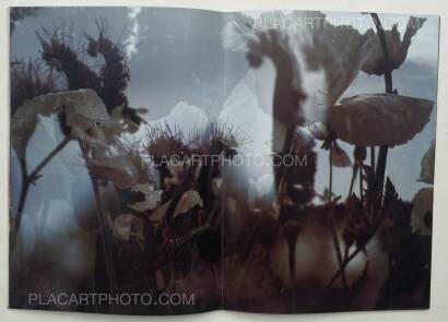 Peter Fischli & David Weiss,Peter Fischli David Weiss Peter Fischli & David Weiss,Peter Fischli David Weiss