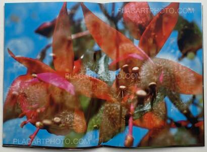 Peter Fischli & David Weiss,Peter Fischli David Weiss Peter Fischli & David Weiss,Peter Fischli David Weiss