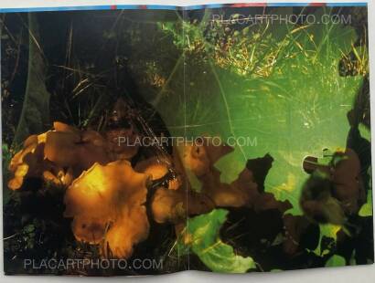 Peter Fischli & David Weiss,Peter Fischli David Weiss Peter Fischli & David Weiss,Peter Fischli David Weiss