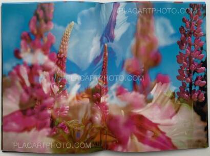 Peter Fischli & David Weiss,Peter Fischli David Weiss Peter Fischli & David Weiss,Peter Fischli David Weiss