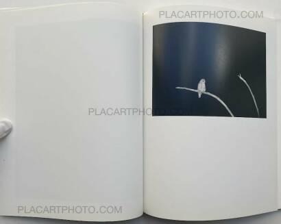 George Shiras ,L'intérieur de la nuit  George Shiras ,L'intérieur de la nuit