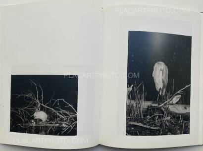 George Shiras ,L'intérieur de la nuit  George Shiras ,L'intérieur de la nuit